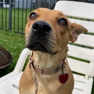 Hey everyone! Meet Miley-Fern!❤️